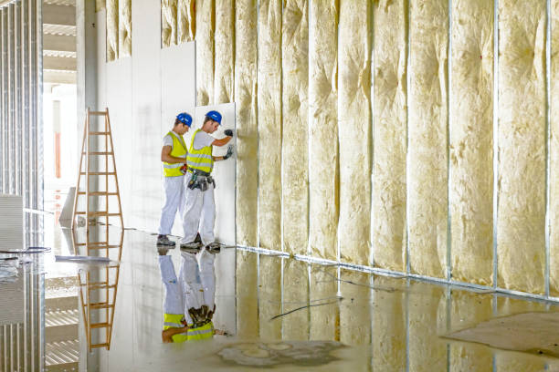 Best Insulation for Specific Applications in Saint Johns University, MN